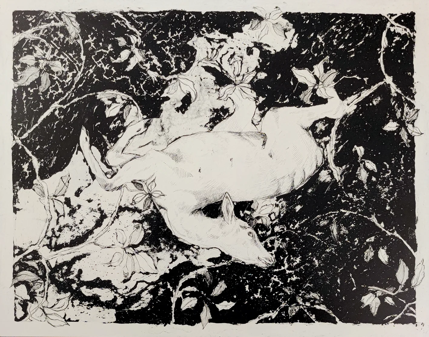 SIN TÍTULO — EVA SOLEDAD MOYA ROSALES