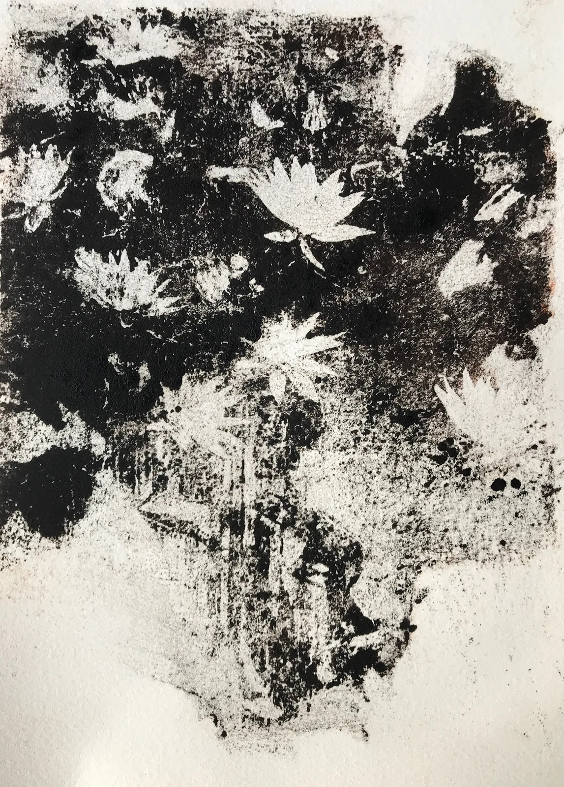 LILLY — ZINAIDA ZAKHAROVA