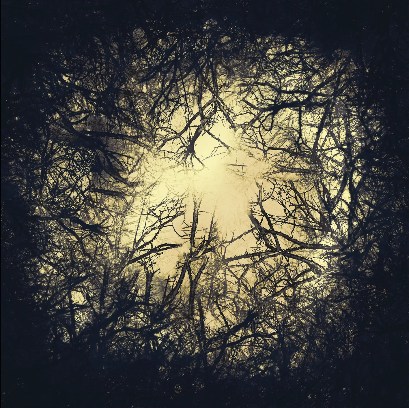 OCASO — LÉA THIEUX